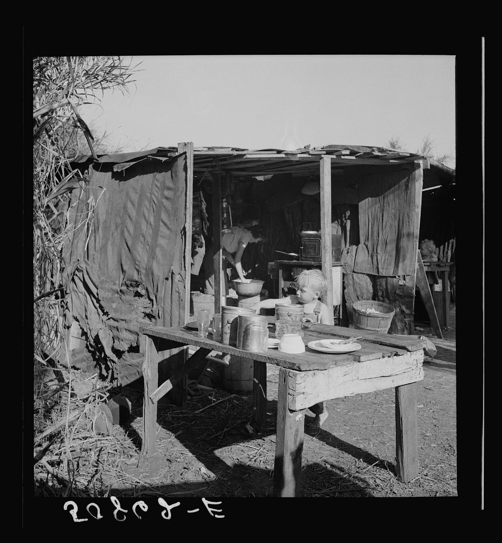 Migrant packinghouse workers' living quarters: tin and burlap shack in swamp cane by canal. From Tennessee, two families…