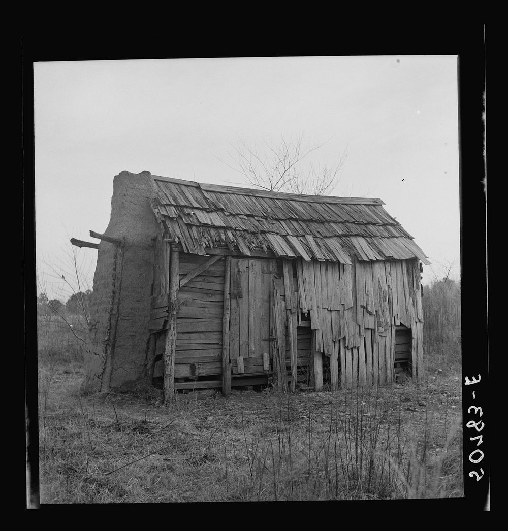 Old  man, who was dying, lived in this shack alone near Beaufort, South Carolina. Sourced from the Library of Congress.