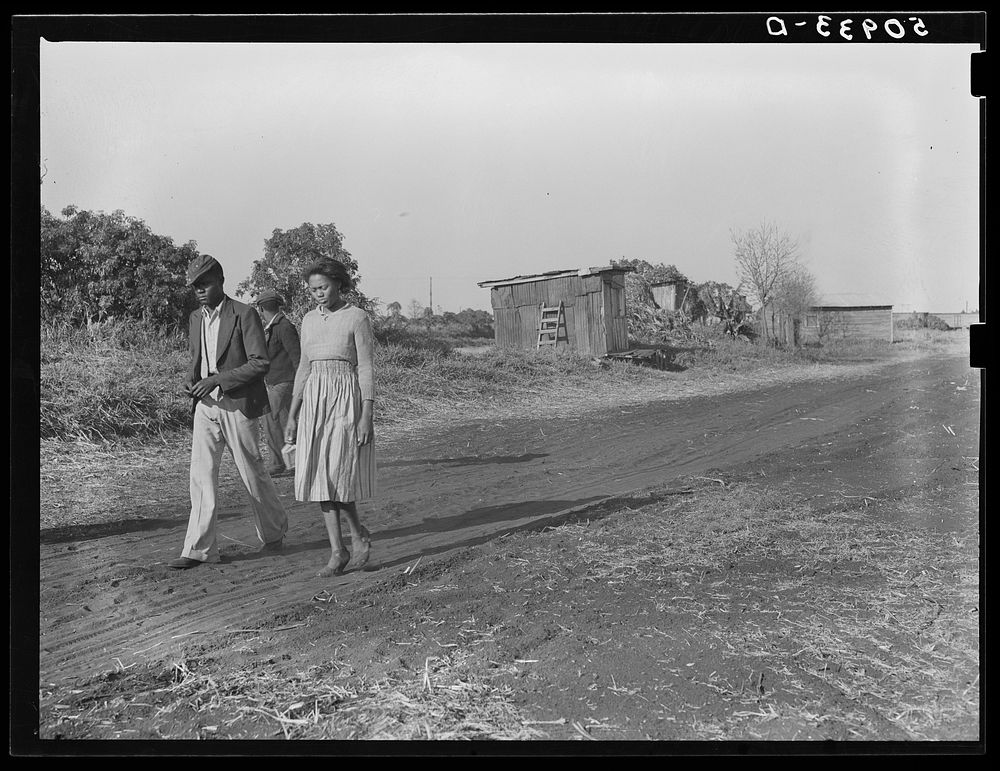 Home, Lake Harbor, Florida, of migrant agricultural workers just returning from fields. Sourced from the Library of Congress.