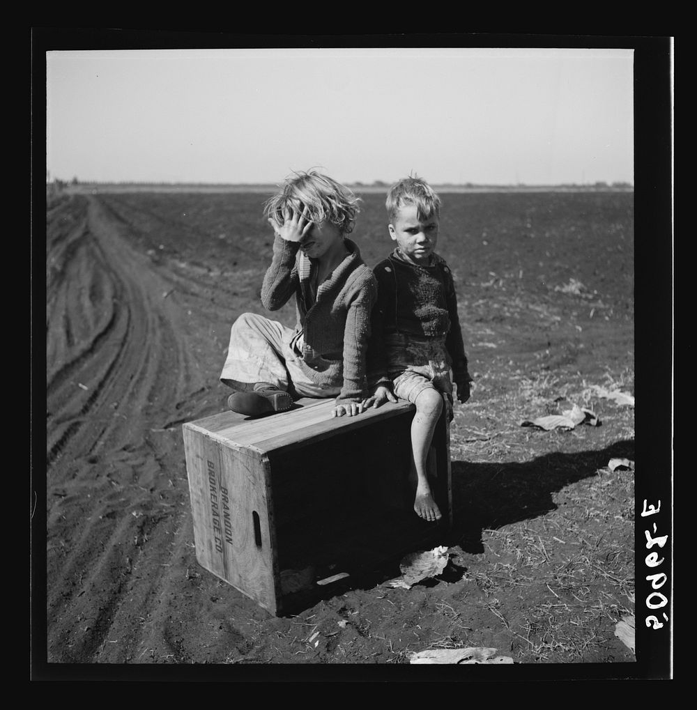 [Untitled photo, possibly related to: Children of agricultural laborer from North Carolina. Near Belle Glade, Florida].…