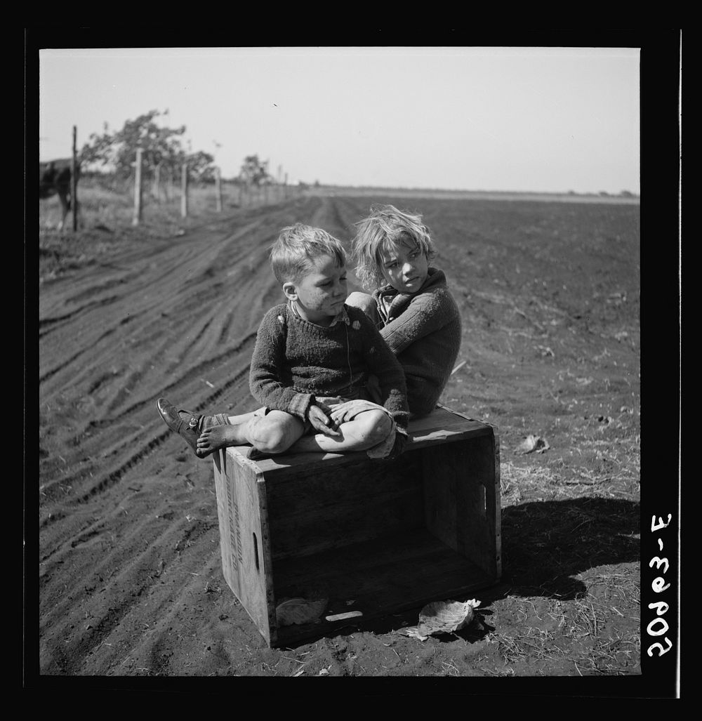 Children of agricultural laborer from North Carolina. Near Belle Glade, Florida. Sourced from the Library of Congress.