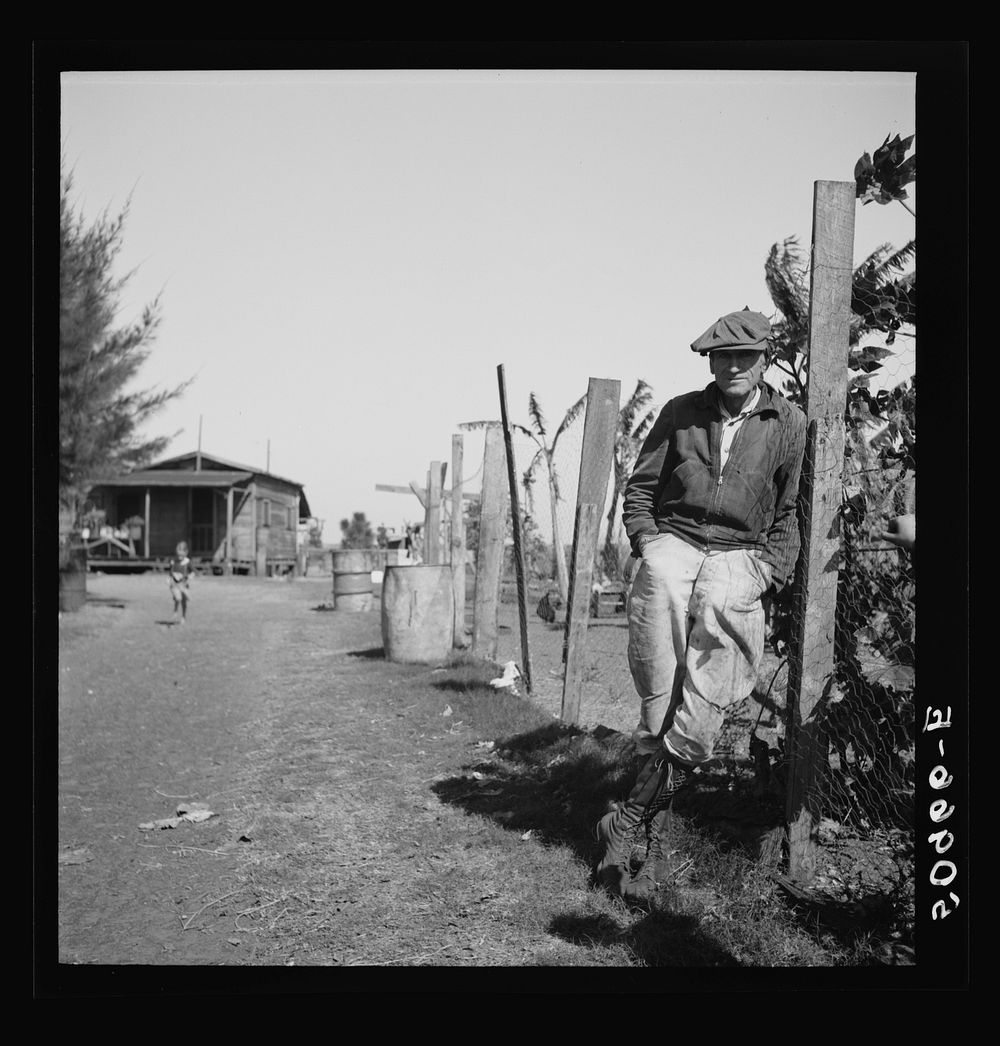 [Untitled photo, possibly related to: Small truck farmer from North Carolina. His neck was broken and is in a brace. Near…