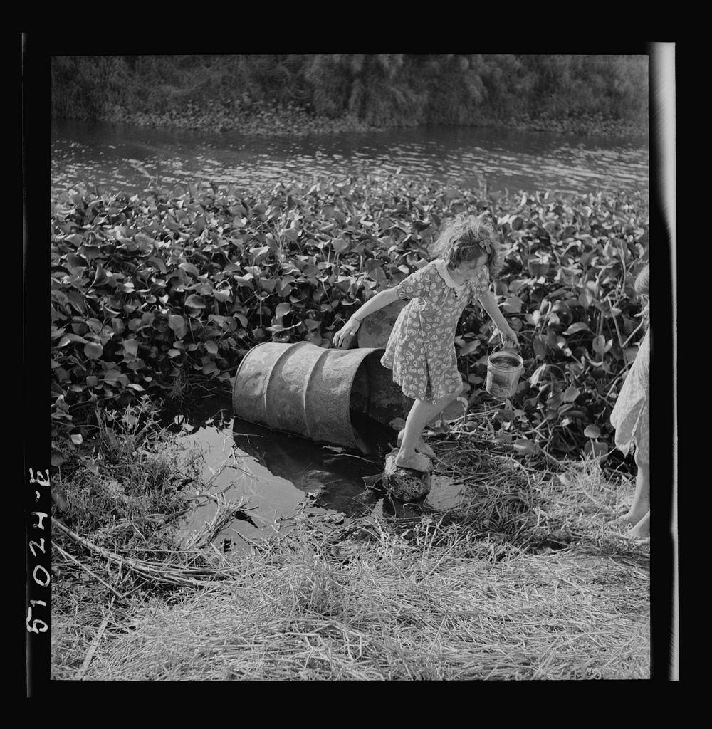 Child of packinghouse worker's (from Tennessee) getting water from filthy canal. Drinking water must be hauled from…