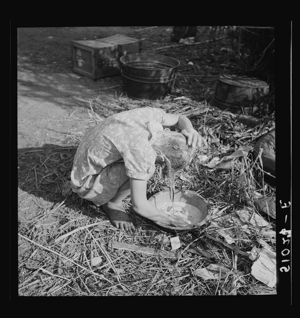 Child of packinghouse laborers from Tennessee. Trying to wash  muck out of her hair with water from canal. The muck causes…