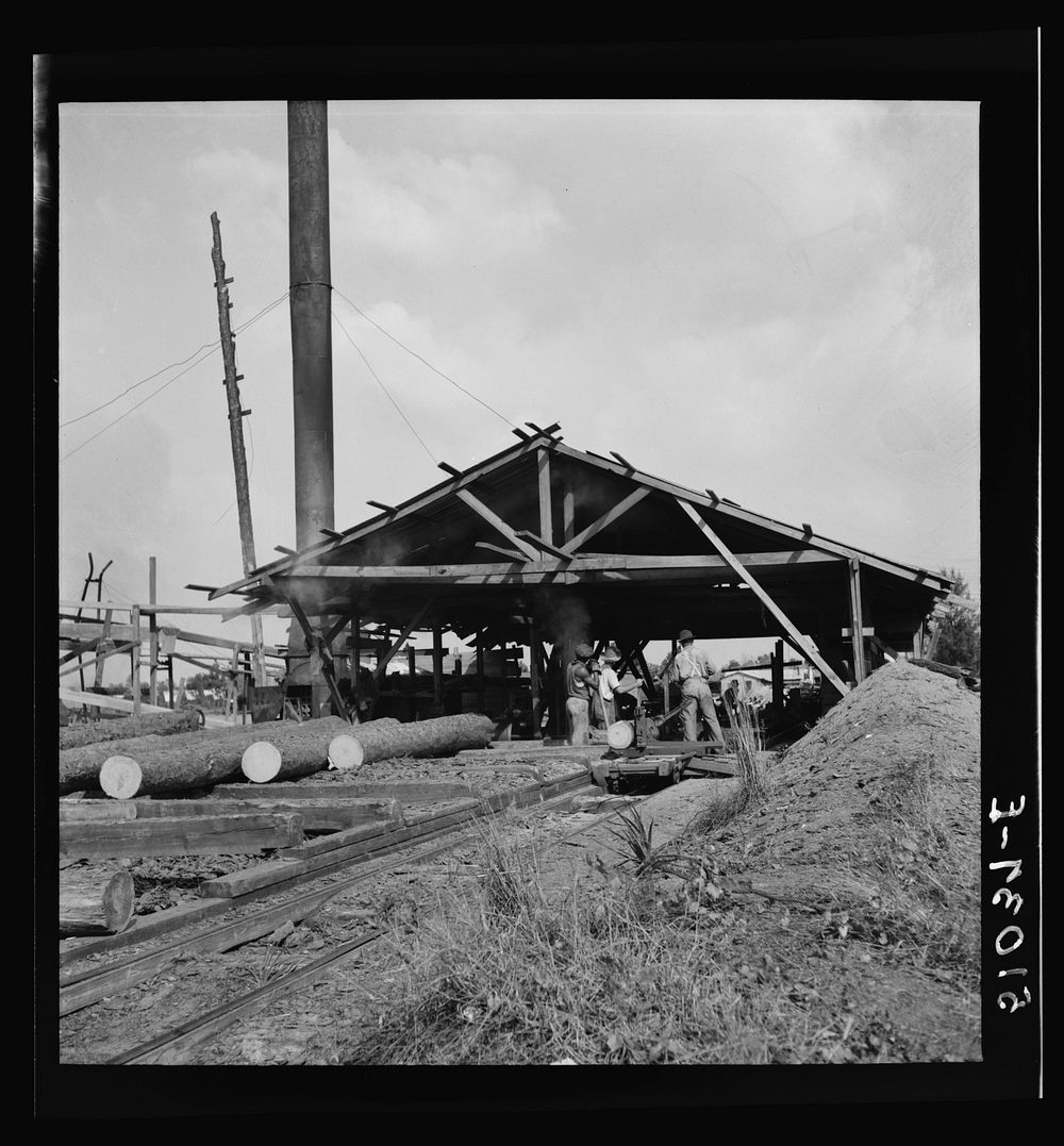 [Untitled photo, possibly related to: Waiting for motor to cool off. Sawmill, Childs, Florida]. Sourced from the Library of…