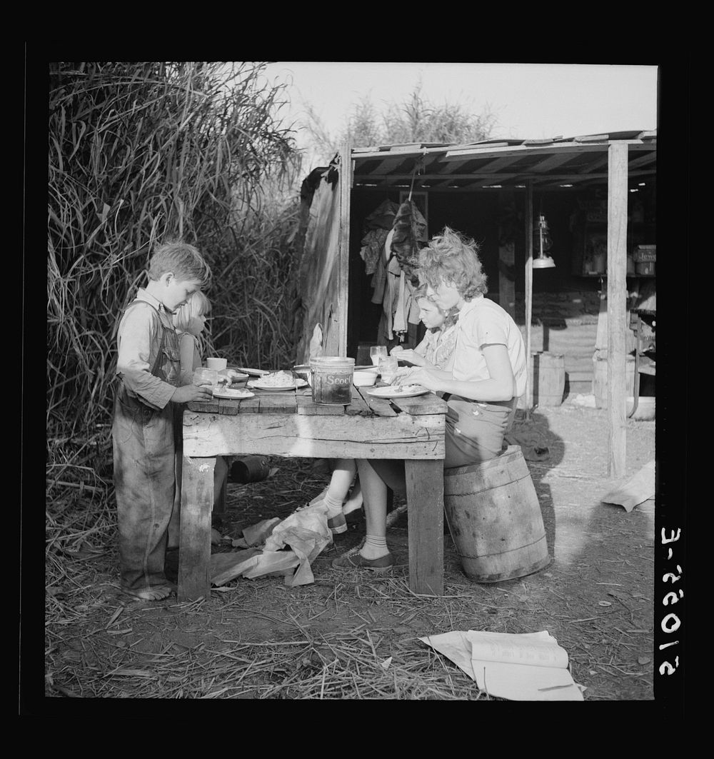 Woman packinghouse worker from Tennessee with three of her four children eating supper of fried potatoes and cornbread and…
