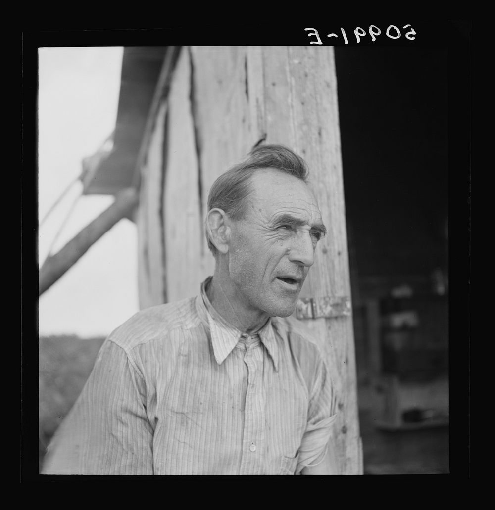 Former railroad man from Tennessee who was picking beans in Homestead, Florida. Sourced from the Library of Congress.