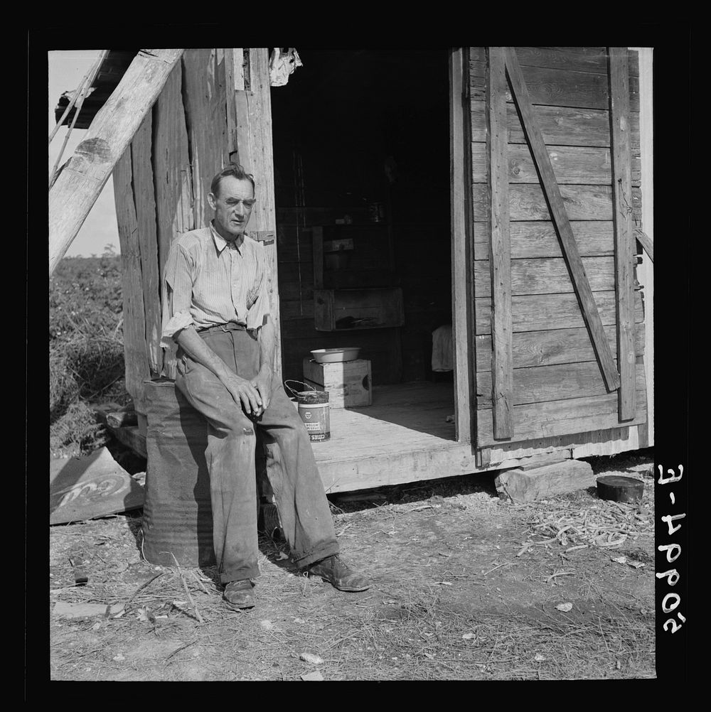 [Untitled photo, possibly related to Former railroad man from Tennessee who was picking beans in Homestead, Florida].…
