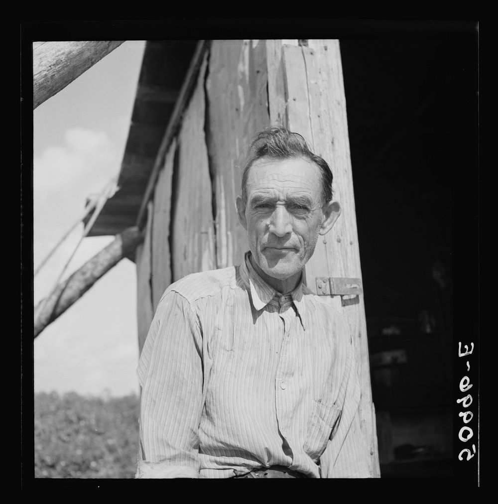 Former railroad man from Tennessee who was picking beans in Homestead, Florida. Sourced from the Library of Congress.