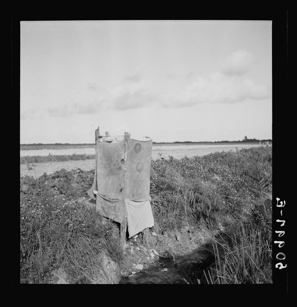 [Untitled photo, possibly related to: Privy alongside irrigation and drainage ditch for agricultural workers. Homestead…