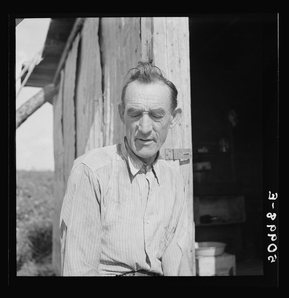 [Untitled photo, possibly related to: Former railroad man from Tennessee who was picking beans in Homestead, Florida].…