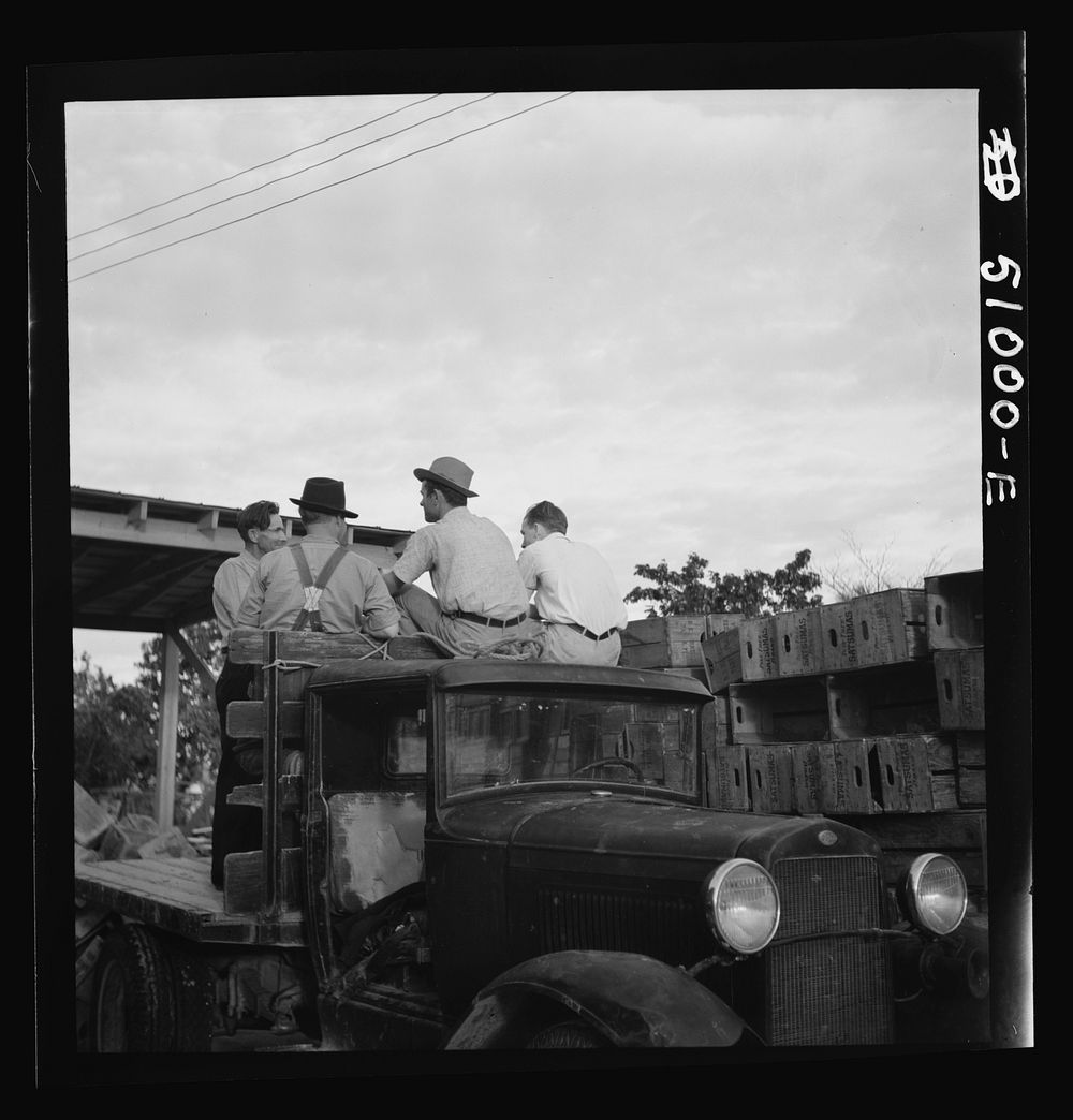 [Untitled photo, possibly related to: Truckers at packing plant. Homestead, Florida]. Sourced from the Library of Congress.