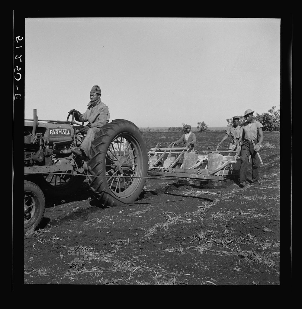 Tractor-driven combination bean planter and fertilizer machine used on many large tracts of land in Florida farming area.…
