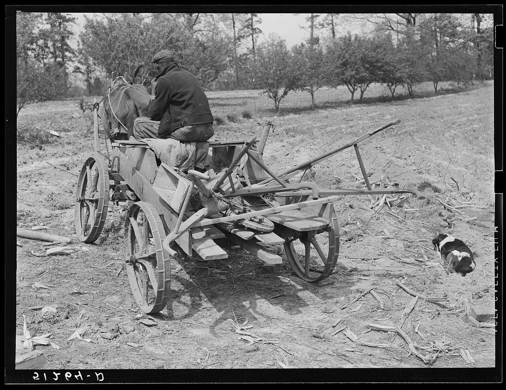Wagon with plows, and farm tools in field. Greene County, Georgia. Sourced from the Library of Congress.