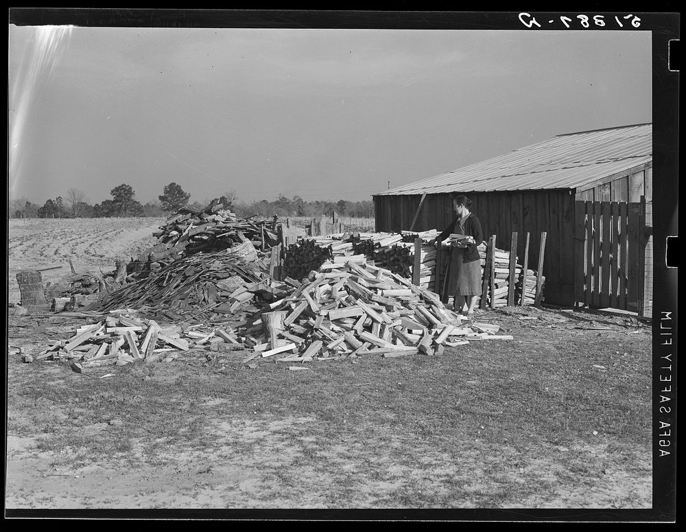 A large and neat woodpile of project family. Coffee County, Alabama. Sourced from the Library of Congress.