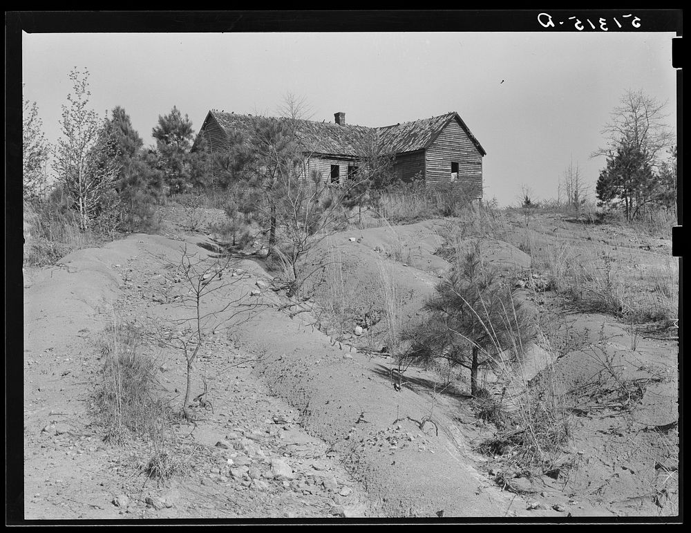 Deserted tenant house near Nelson Armour place in Greene County, Georgia. Sourced from the Library of Congress.