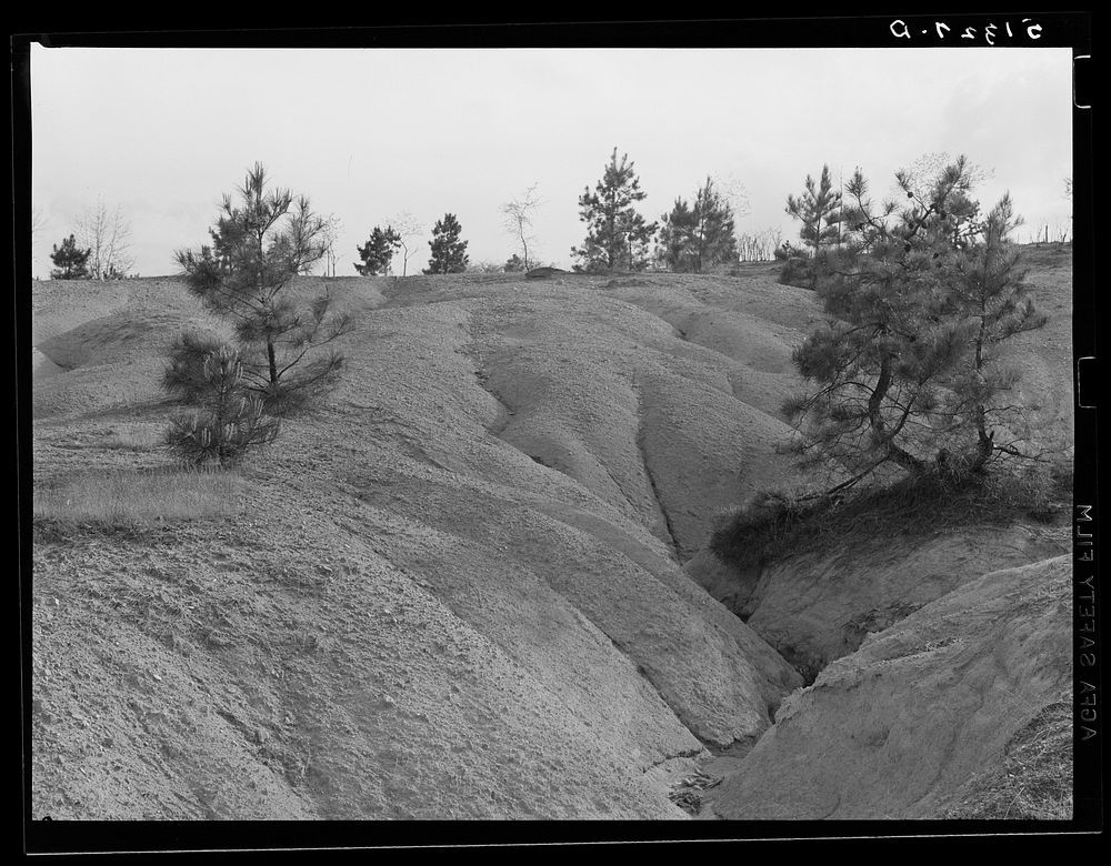 Eroded land. Greene County, Georgia. Sourced from the Library of Congress.