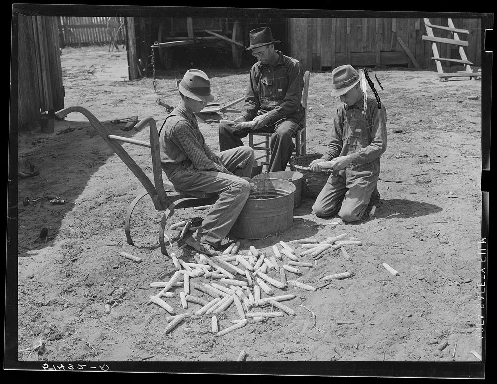 Mr. E.H. Wise and sons, shelling corn for planting (R.R.--Rural Rehabilitation). Coffee County, Alabama. Sourced from the…