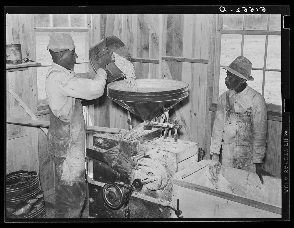 Project famililes have their corn ground into meal at cooperative grist mill. Gee's Bend, Alabama. Sourced from the Library…