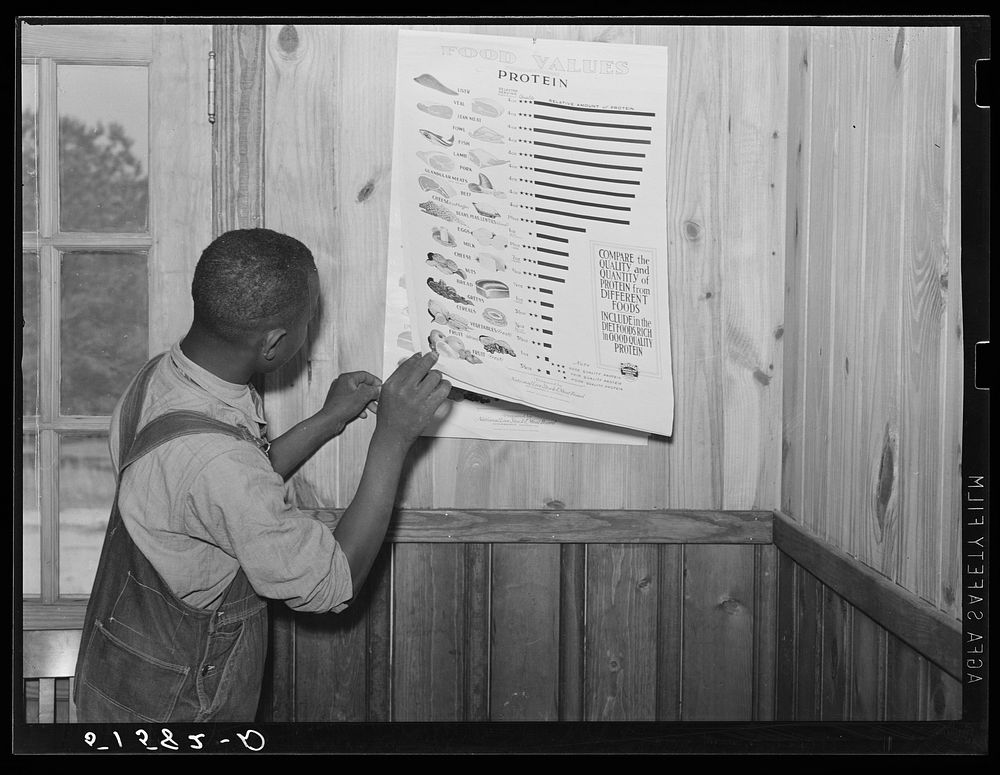 Clay Coleman shows interest in food chart while waiting in clinic. Gee's Bend, Alabama. Sourced from the Library of Congress.