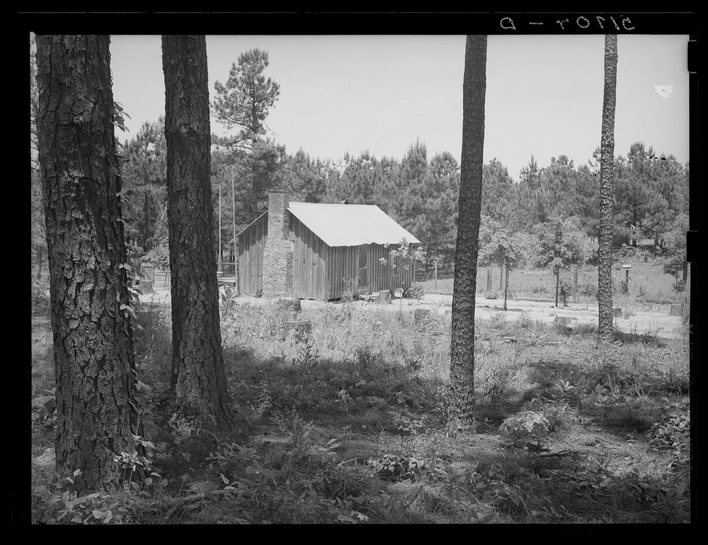 Sharecropper cabin with tin roof. Greene County, Georgia. Sourced from the Library of Congress.