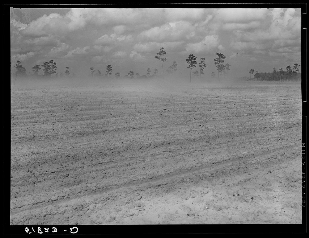 Beginning of dust storm in northern Florida. Sourced from the Library of Congress.