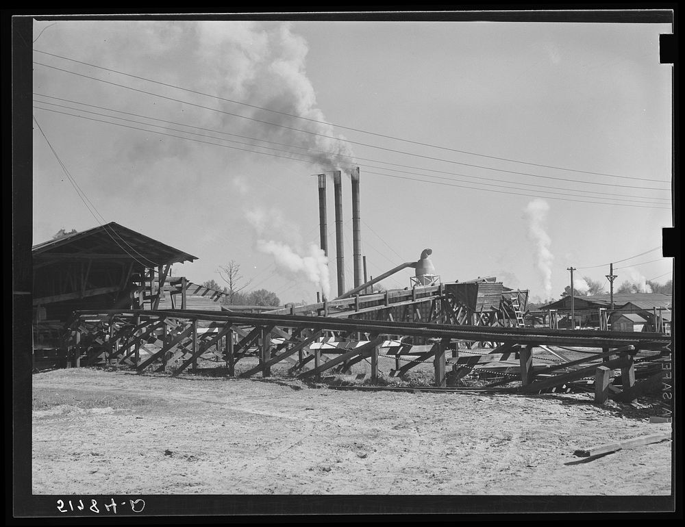 A lumber planing mill. Cairo, Georgia. Sourced from the Library of Congress.