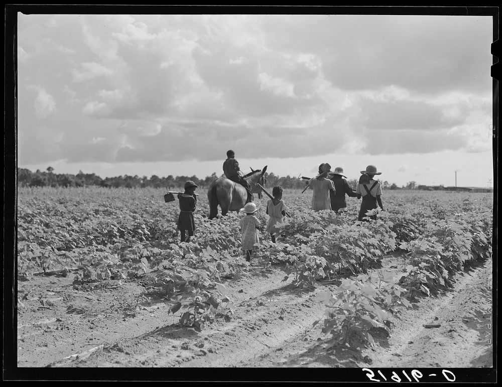 [Untitled photo, possibly related to: Pauline Clyburn, rehabilitation client at Manning, Clarendon County, South Carolina…