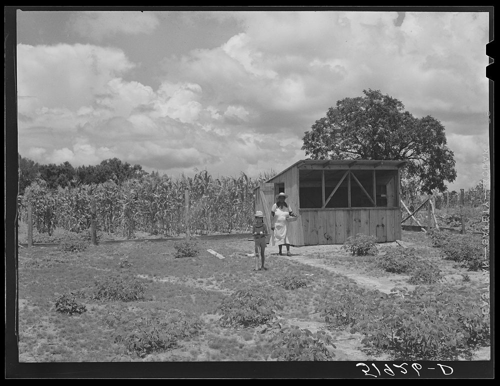Wife and daughter of Frederick Oliver, FSA (Farm Security Administration) tenant purchase client, bringing in eggs from…