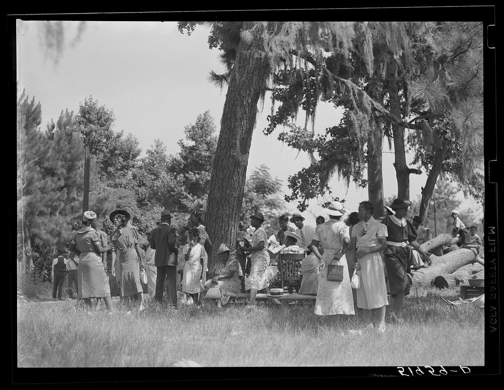 [Untitled photo, possibly related to:  picnic at Beaufort, South Carolina. July fourth]. Sourced from the Library of…