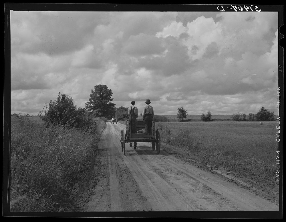 Rural South Carolina. Near Manning. Sourced from the Library of Congress.
