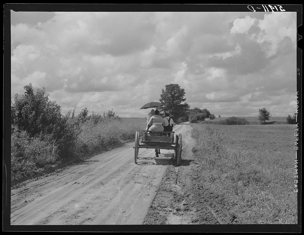 Rural South Carolina near Manning. Sourced from the Library of Congress.