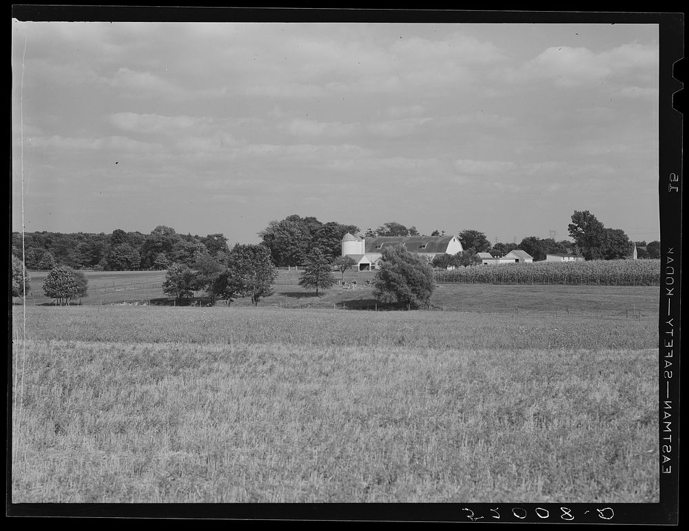 [Untitled photo, possibly related to: Farm in Bucks County, Pennsylvania]. Sourced from the Library of Congress.