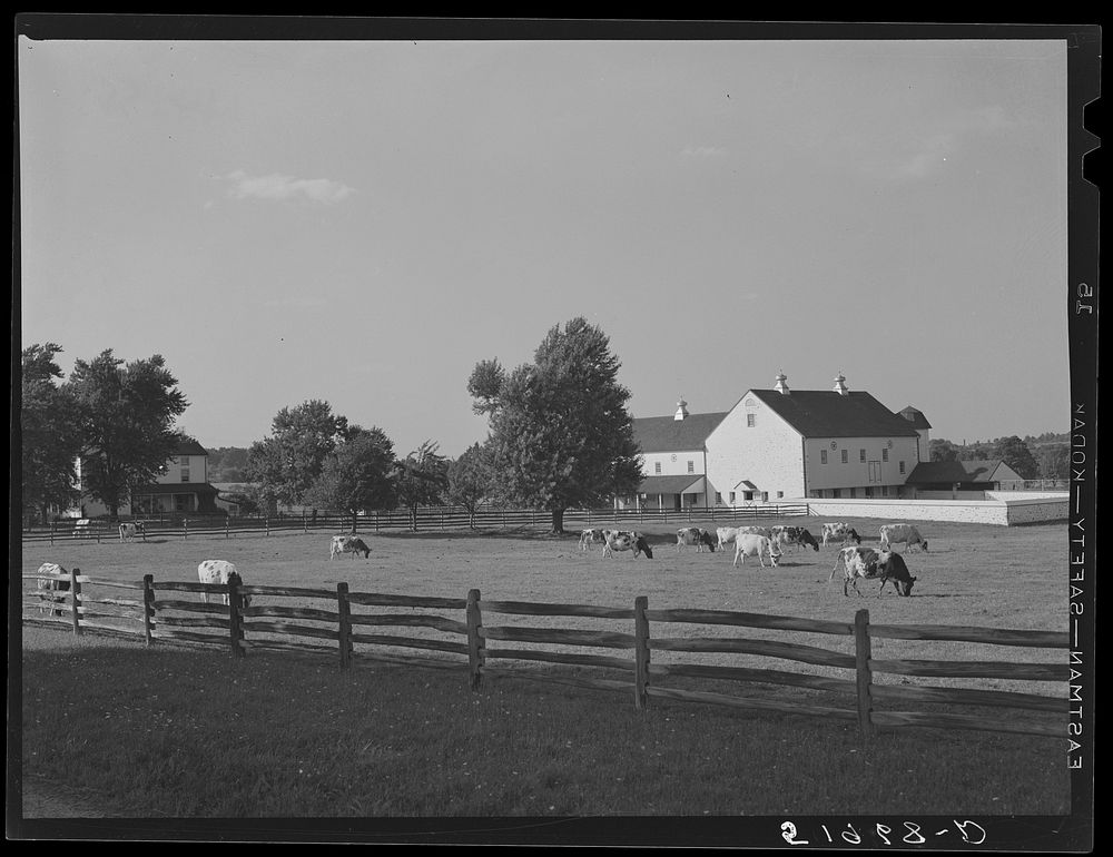Rich farmland. Lancaster County, Pennsylvania. Sourced from the Library of Congress.