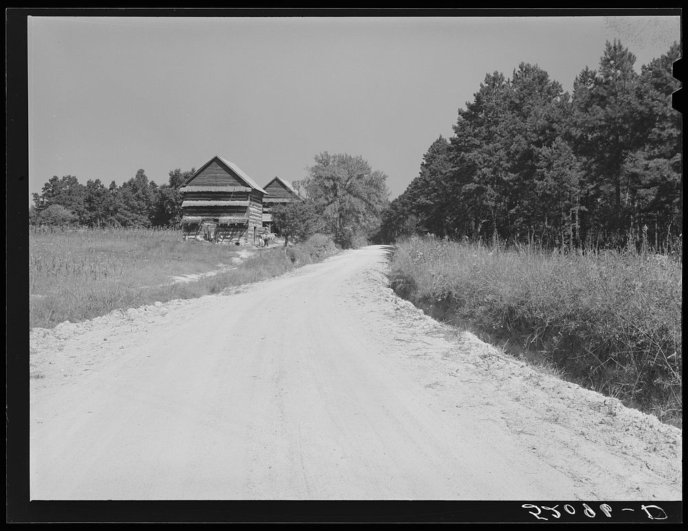 Tobacco barns.  owner living in Mebane in prosperous Negro settlement between Carr and Cedar Grove, Orange County, North…