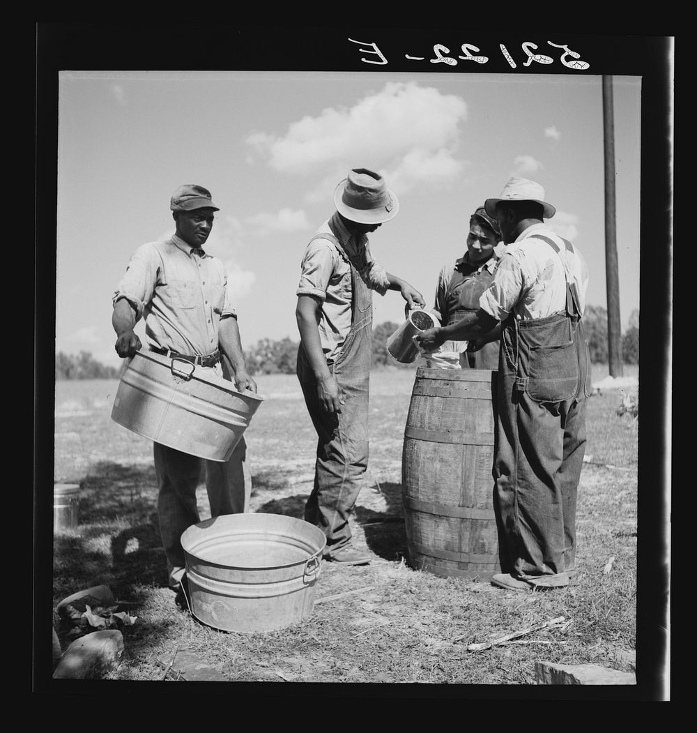 [Untitled photo, possibly related to: A portable cane mill (the owner gets every sixth gallon for making the sorghum syrup).…