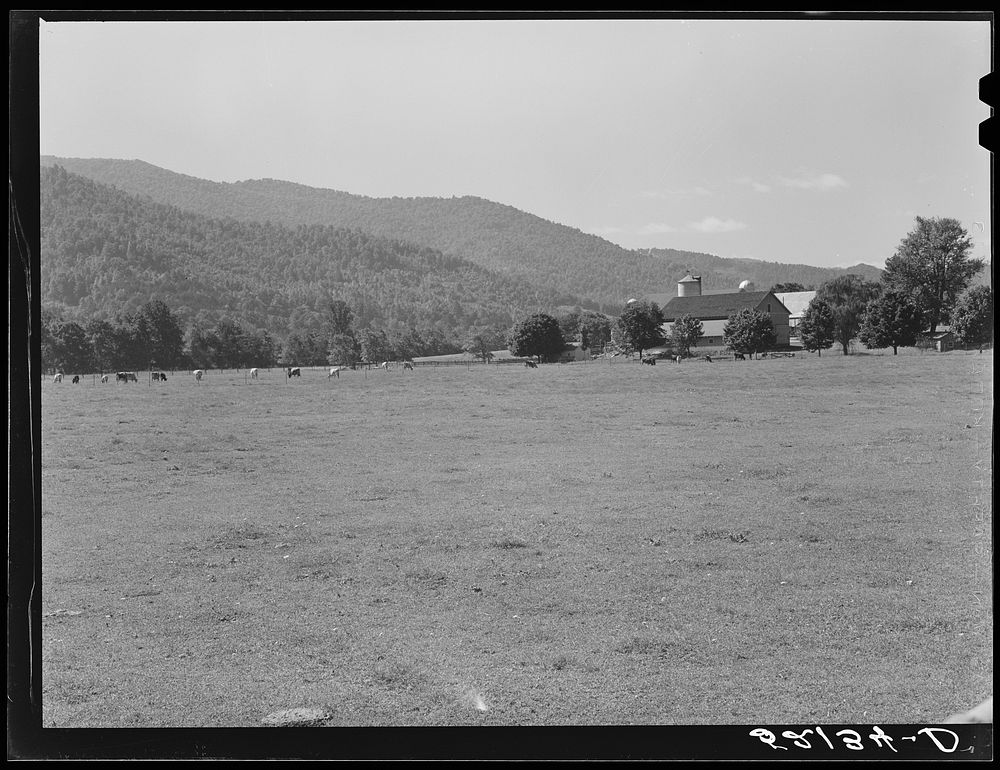 State agricultural experiment station near Black Mountain, North Carolina. Sourced from the Library of Congress.