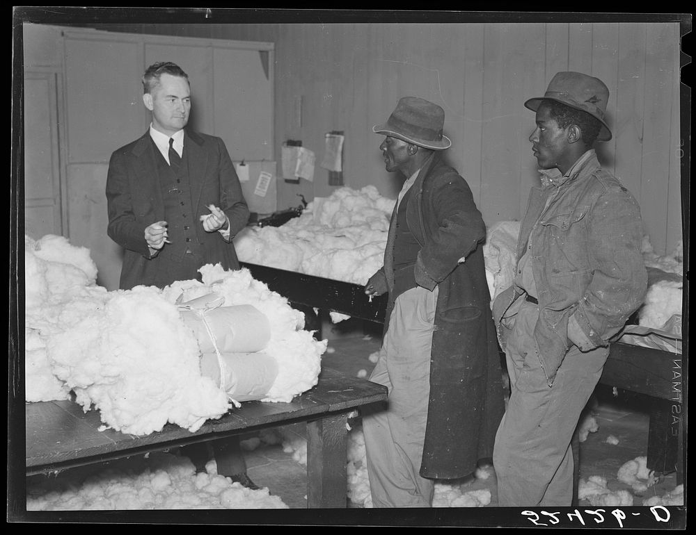 [Untitiled photo, possibly related to:  farmer brings his cotton samples to the cotton broker. Clarksdale, Mississippi…