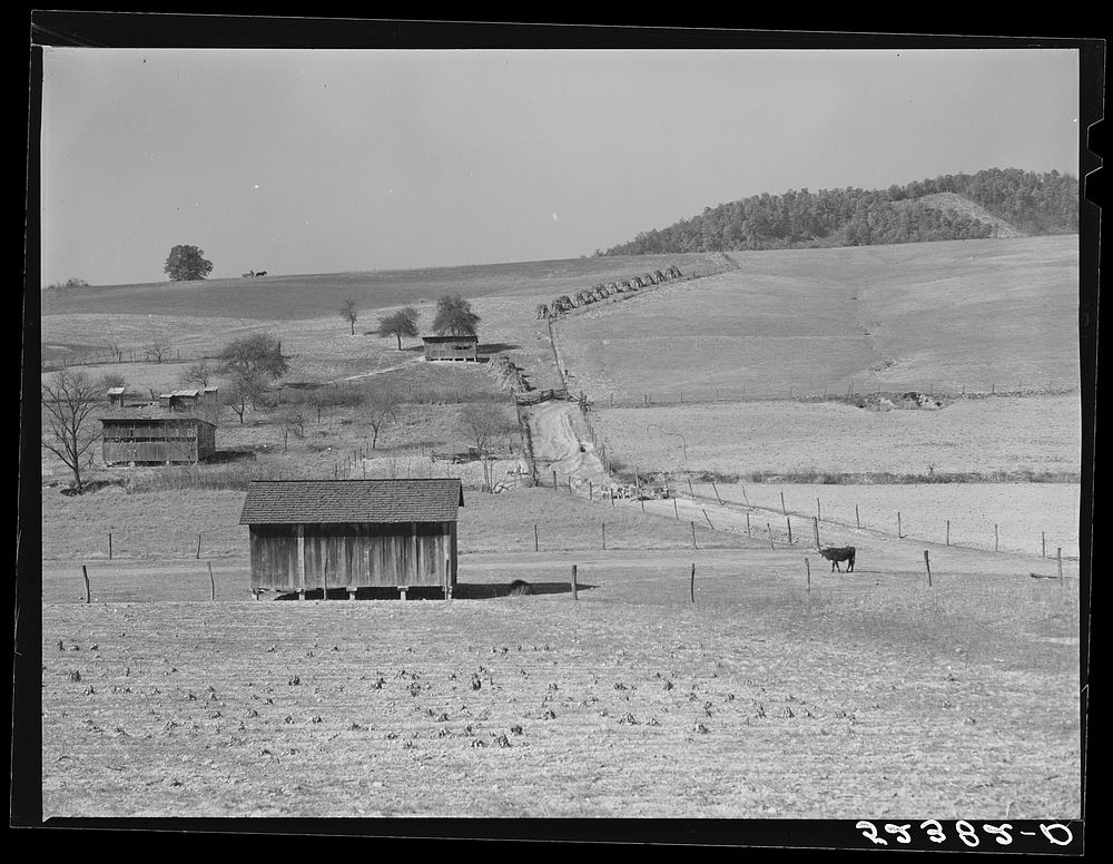 [Untitled photo, possibly related to: Farm and general landscape, Tennessee]. Sourced from the Library of Congress.