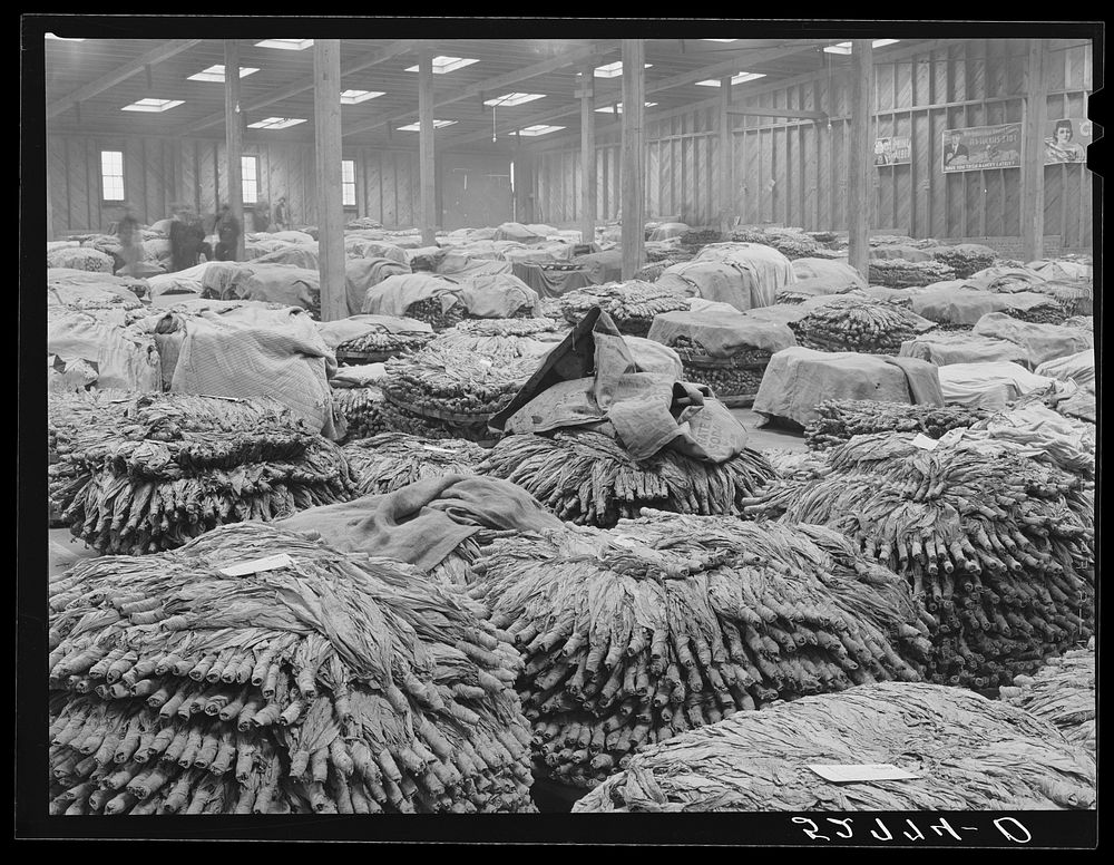 [Untitled photo, possibly related to: Baskets of tobacco piled on top of each other after being sold at auction. Here they…