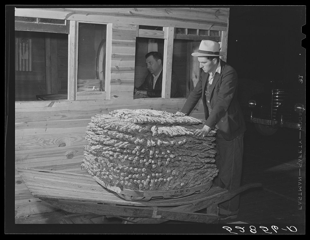[Untitled photo, possibly related to: Weighing a basket of tobacco in warehouse before auction sale. Durham, North…