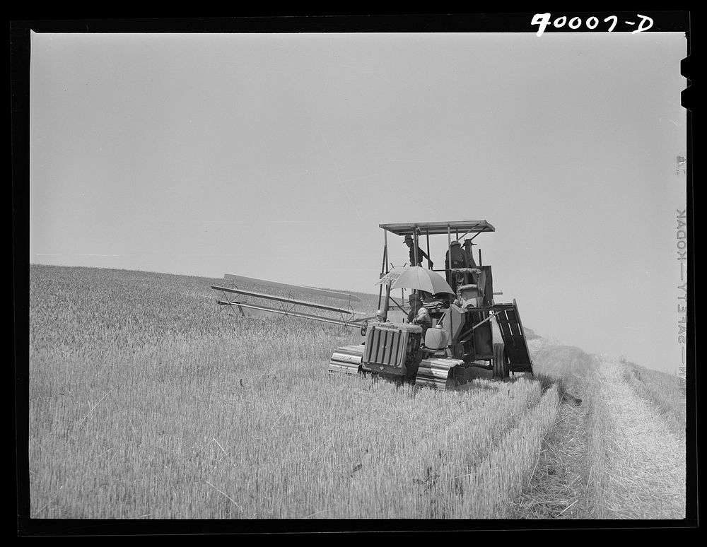 Caterpillar-drawn combine working in the wheat fields of Whitman County, Washington by Russell Lee