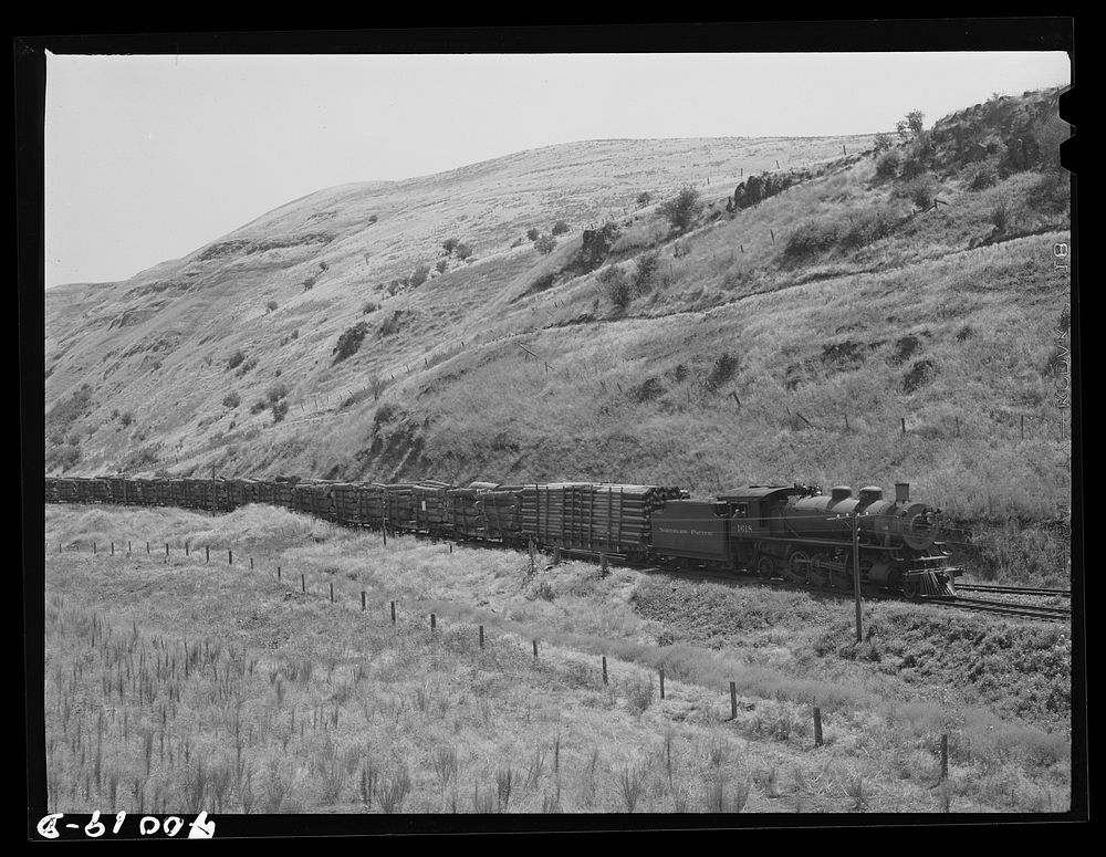 Logging train. Spalding Junction, Idaho by Russell Lee