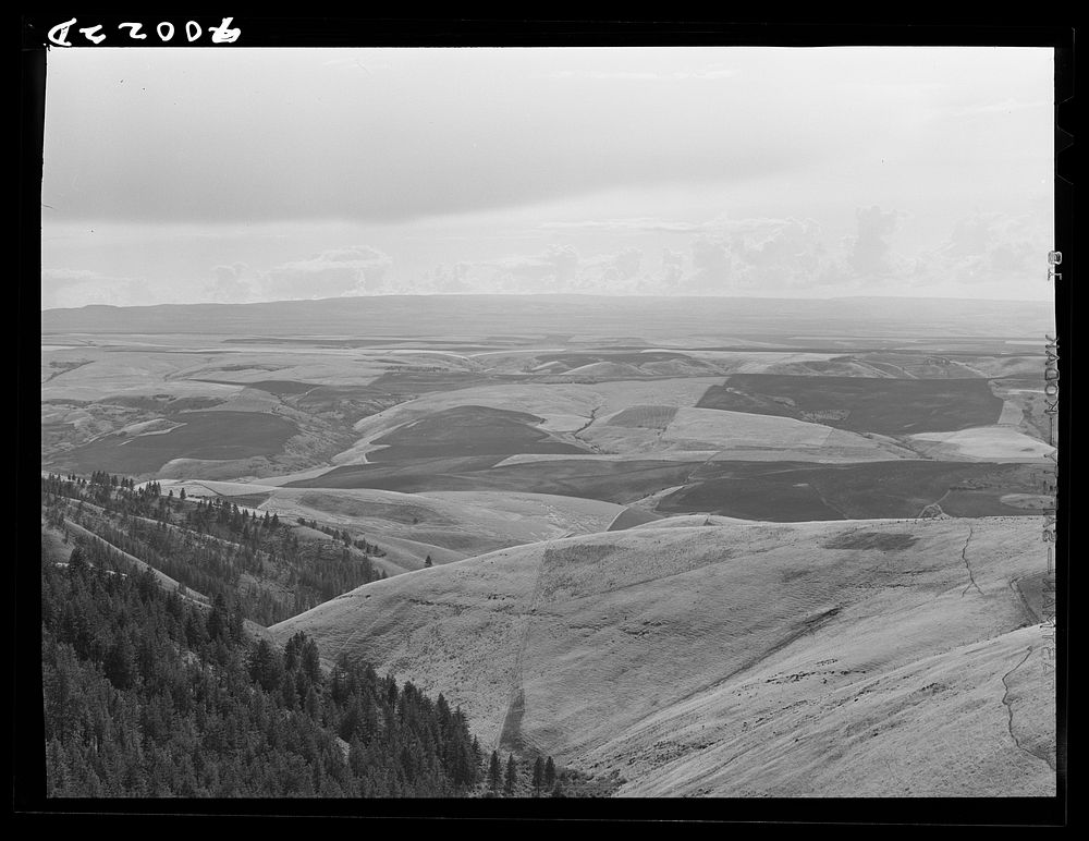 Looking down on wheat fields from Winchester Hill. Nez Perce County, Idaho by Russell Lee