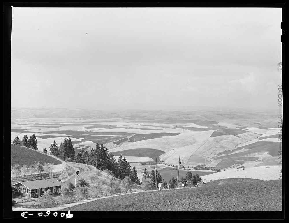 [Untitled photo, possibly related to: Wheat fields from Winchester Hill. Nez Perce County, Idaho] by Russell Lee