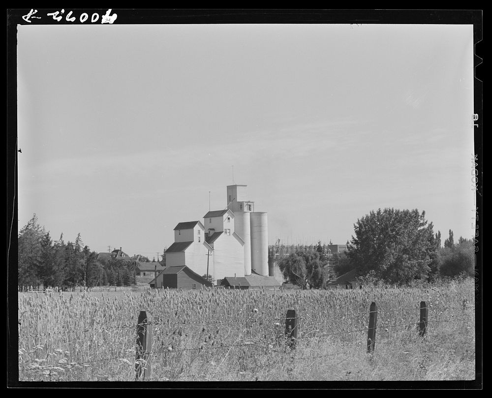 [Untitled photo, possibly related to: Wheat elevator. Latah County, Idaho] by Russell Lee