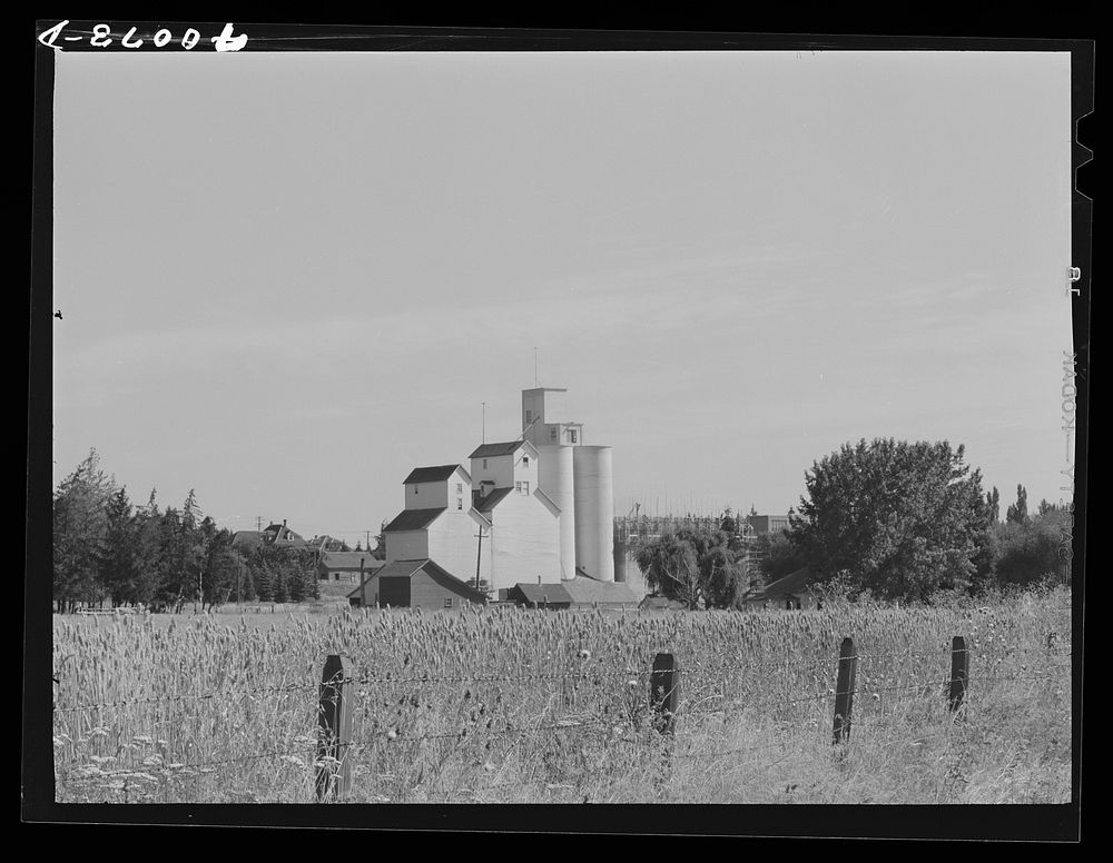 [Untitled photo, possibly related to: Wheat elevator. Latah County, Idaho] by Russell Lee