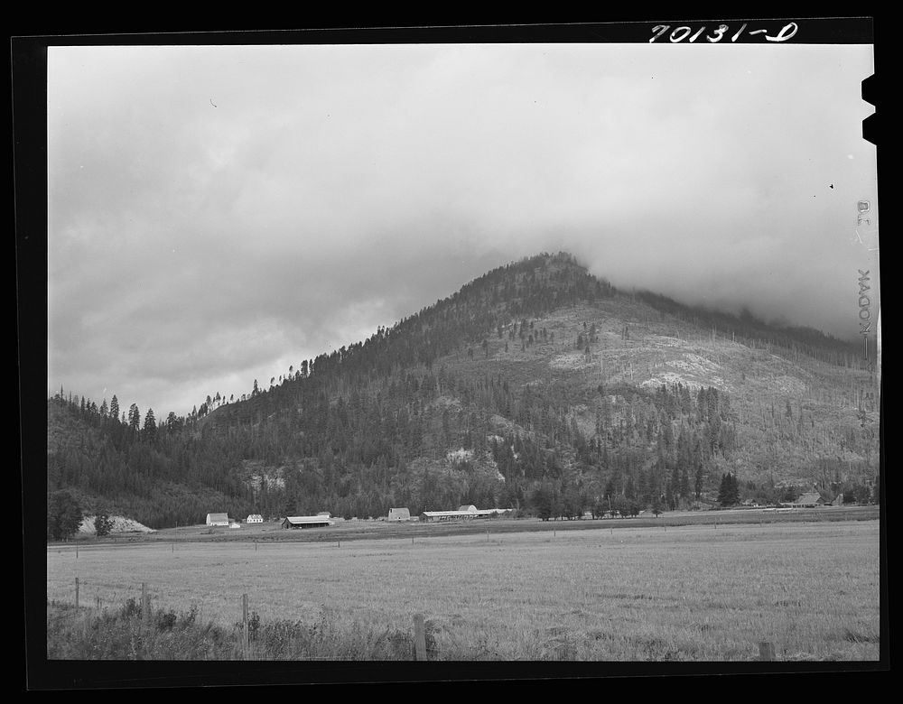 Part of Boundary Farms, FSA (Farm Security Administration) project, is situated in mountain valleys. Boundary County, Idaho…
