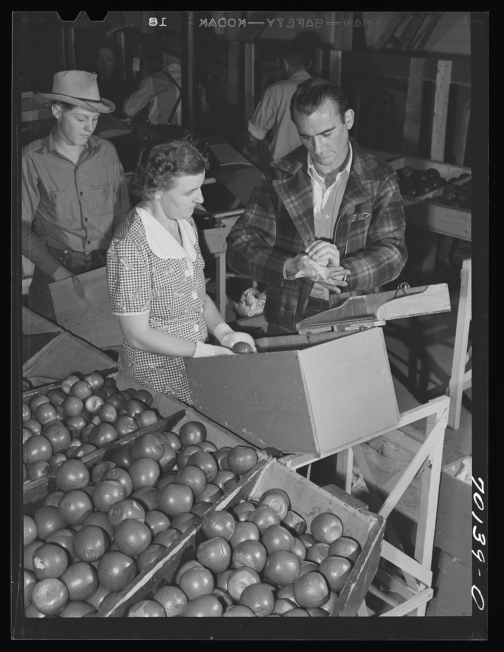WPA (Work Projects Administration) instructor demonstrates proper method of wrapping apple at apple packing school at FSA…