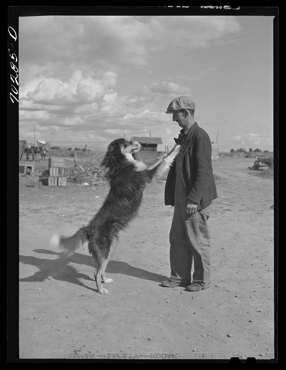 Farmer and his dog. Yakima Free Photo rawpixel